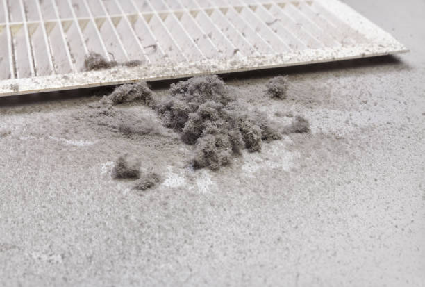Best Home Air Vent Cleaning  in Hales Corners, WI