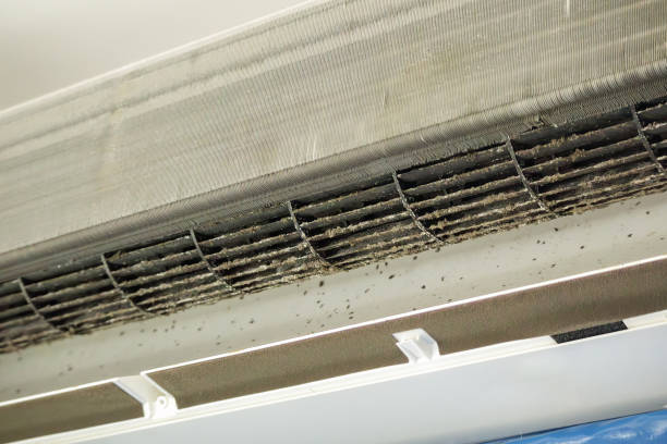Best Affordable HVAC Duct Cleaning  in Hales Corners, WI